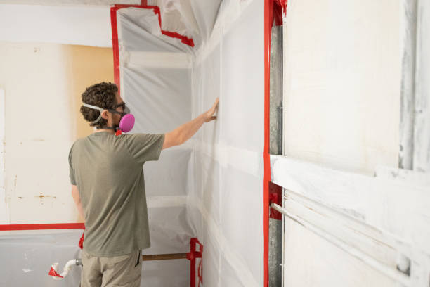 Best Black Mold Removal  in Navesink, NJ