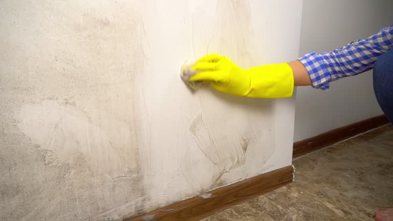 Best Attic Mold Removal  in Navesink, NJ