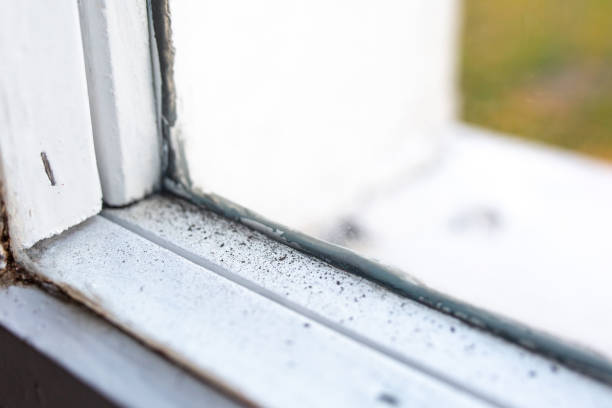 Best Asbestos and Lead Testing During Mold Inspection  in Navesink, NJ