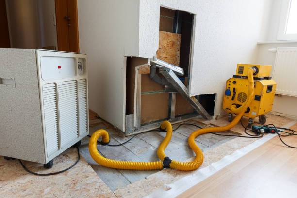 Best Commercial Mold Inspection  in Navesink, NJ